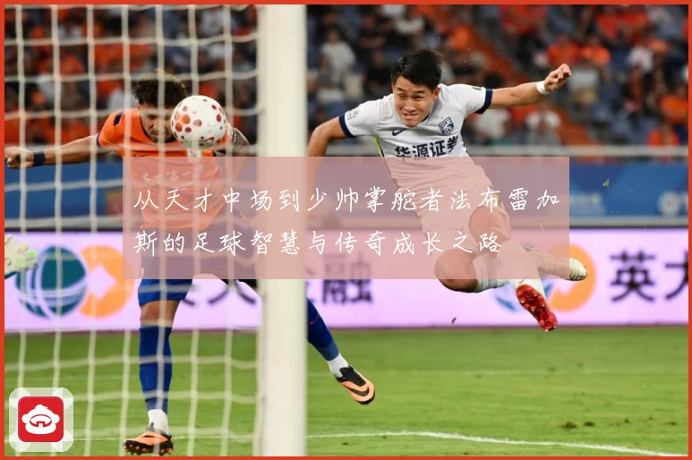 从天才中场到少帅掌舵者法布雷加斯的足球智慧与传奇成长之路