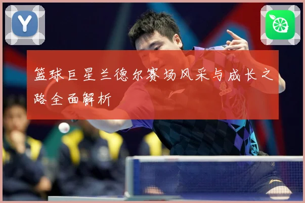 篮球巨星兰德尔赛场风采与成长之路全面解析